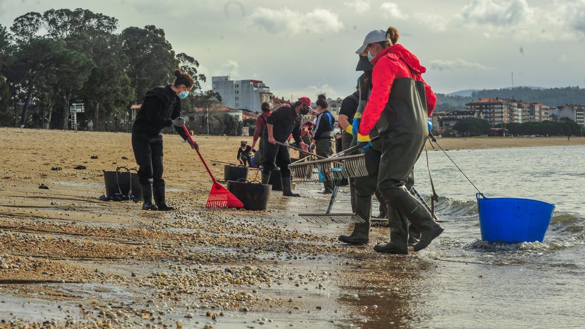 Mariscadoras de Carril recogiendo los bivalvos arrastrados por el temporal.