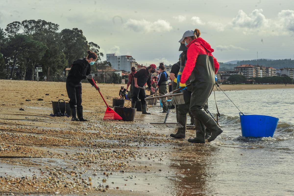 Mariscadoras de Carril recogiendo los bivalvos arrastrados por el temporal.