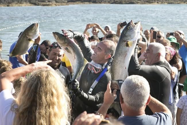 FUERTEVENTURA - CALADA DE PESCADO EN EL COTILLO - 19-08-16