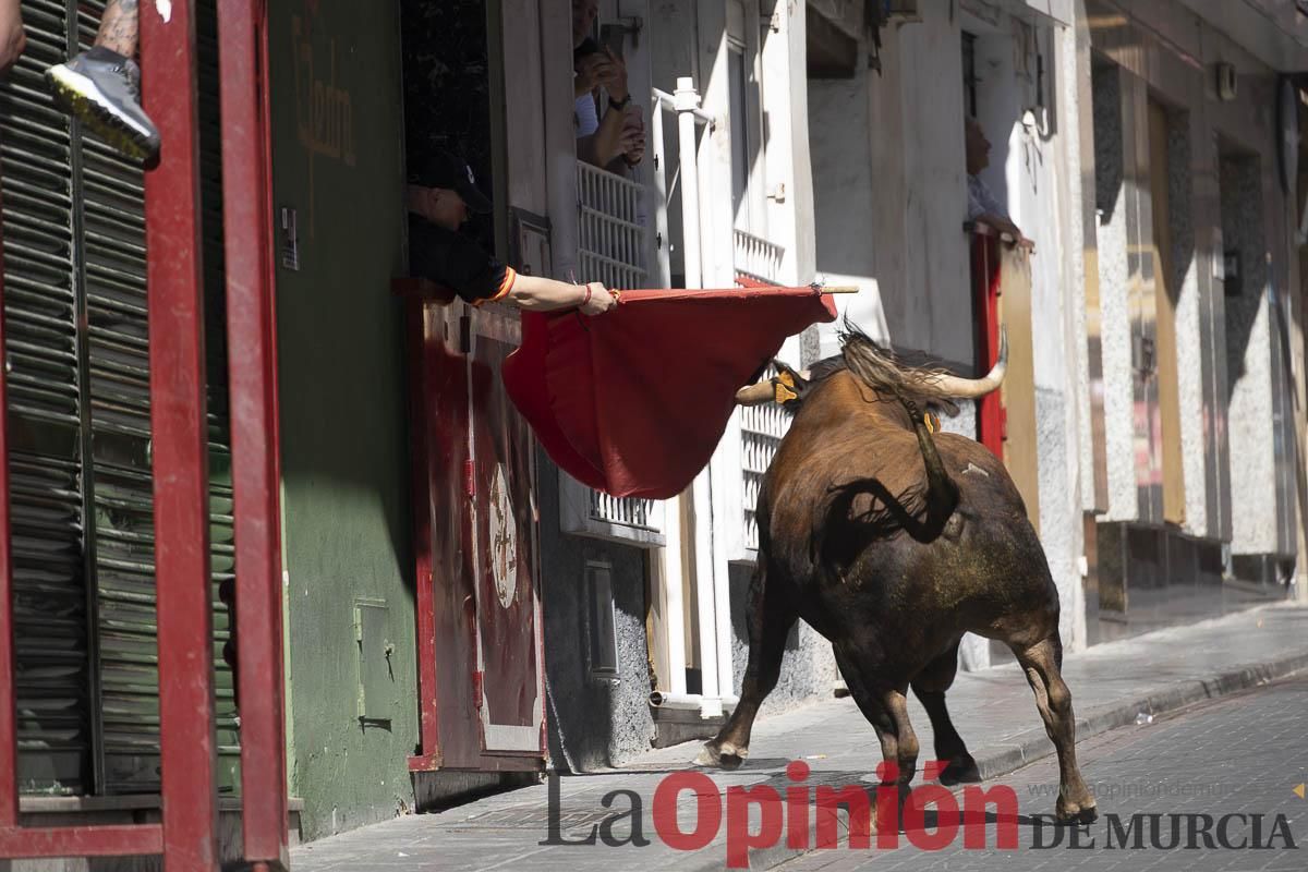 Tercer encierro de las Fiestas de Moratalla