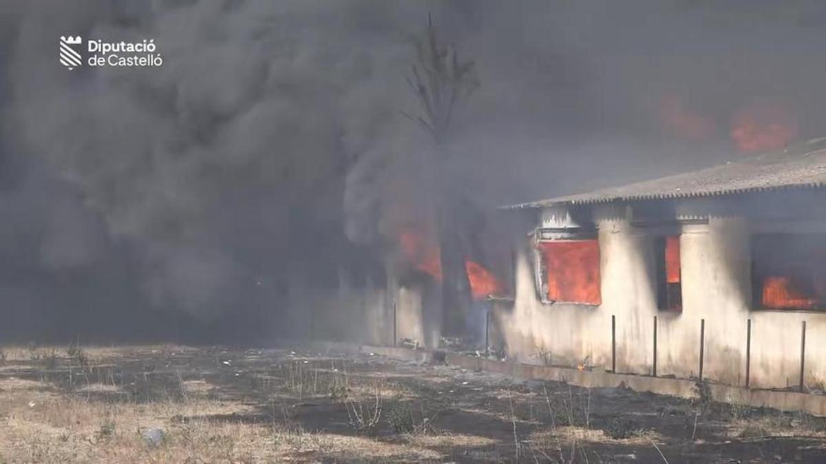 Activado el nivel extremo de riesgo de incendios forestales en toda la Comunitat Valenciana