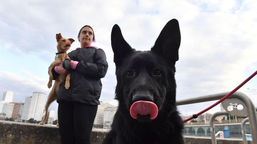 Los propietarios de perros en A Coruña deberán limpiar los orines con agua y zumo de limón o bicarbonato