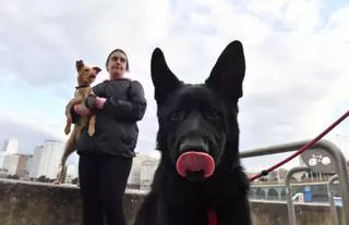 Los propietarios de perros en A Coruña deberán limpiar los orines con agua y zumo de limón o bicarbonato