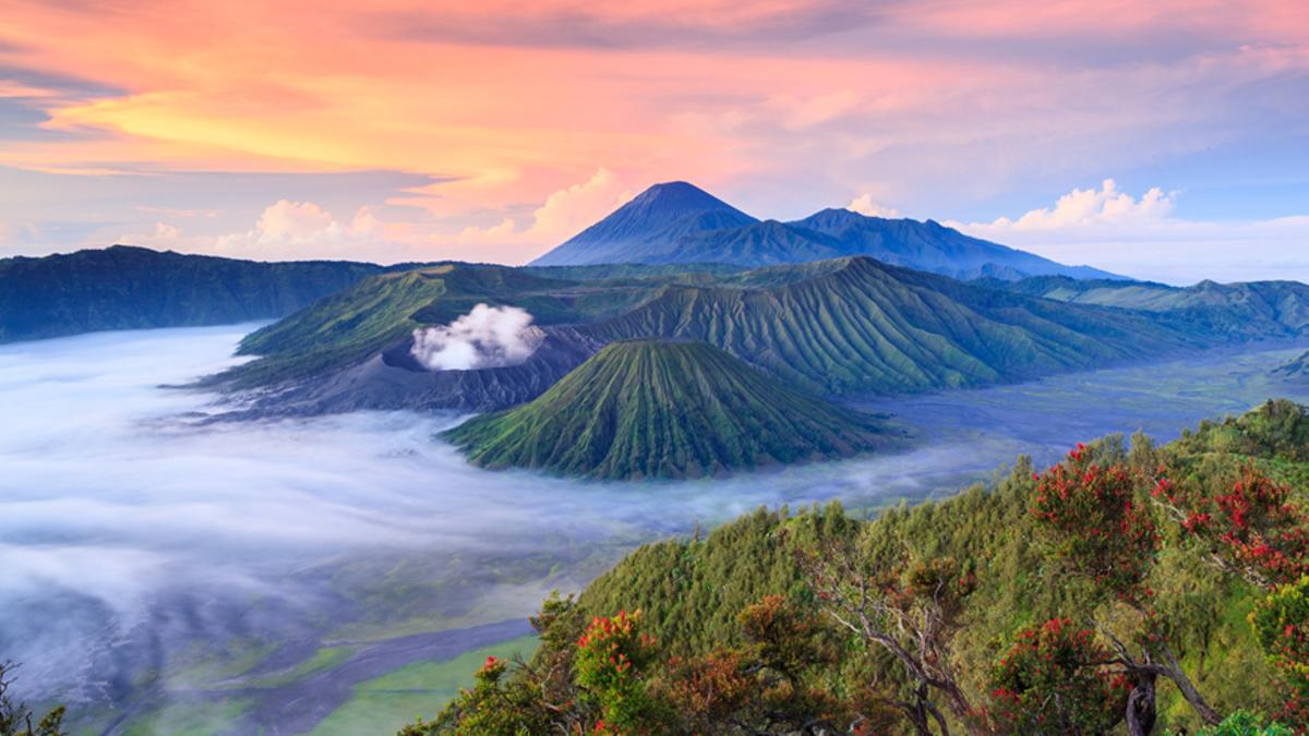 Participa en una aventura salvaje por Indonesia con Viajar.