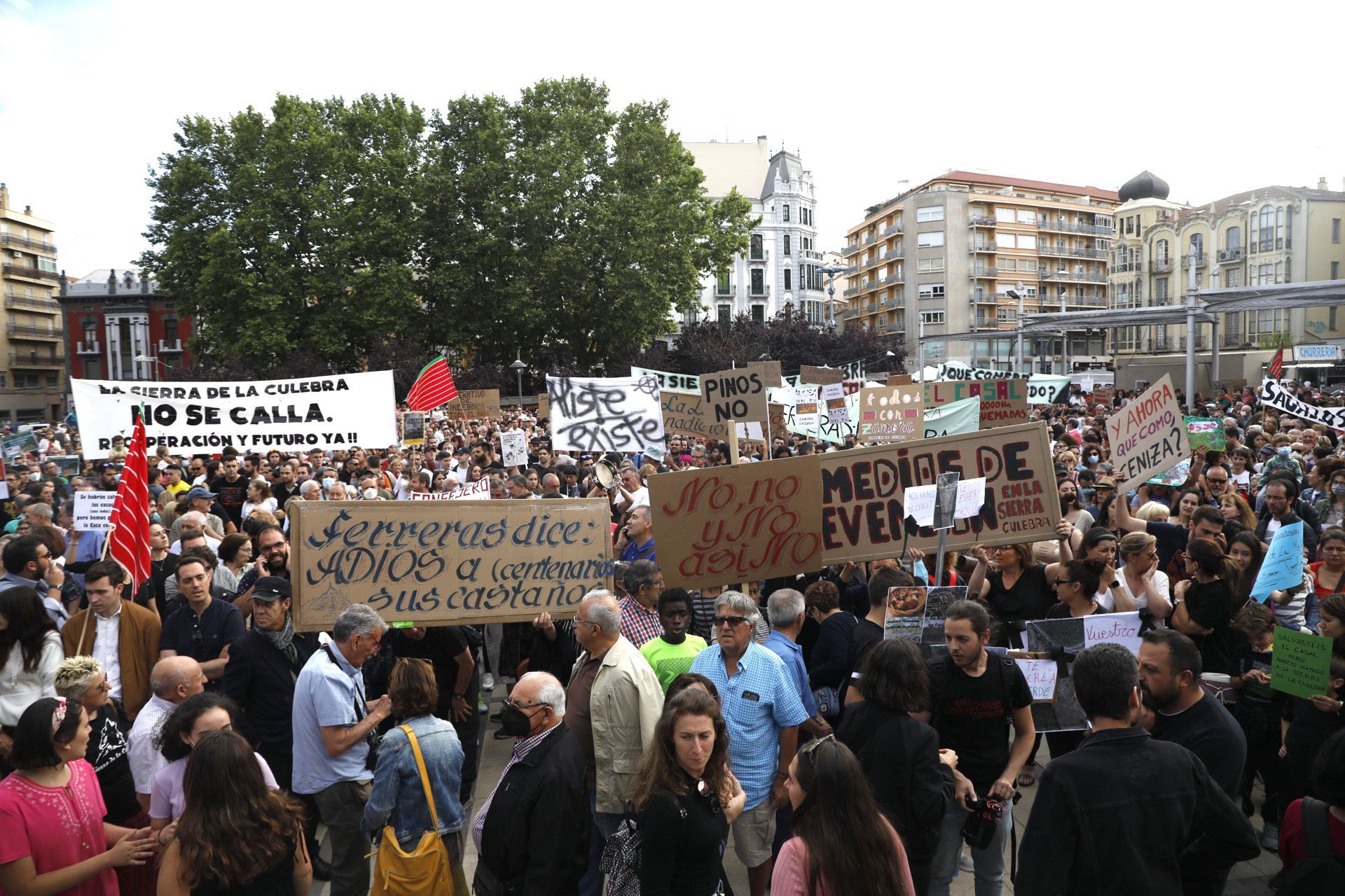 GALERÍA | La manifestación por el incendio de La Culebra (Zamora), en imágenes