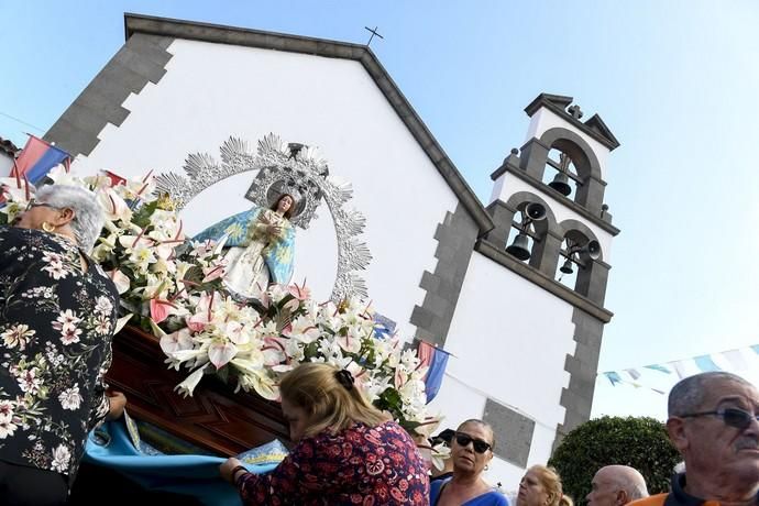 08-12-19 GRAN CANARIA. JINAMAR. JINAMAR. TELDE. Fiesta de la Inmaculade Concepcion y de la Caña Dulce de Jinamar, feria de ganado, procesión.. Fotos: Juan Castro.  | 08/12/2019 | Fotógrafo: Juan Carlos Castro