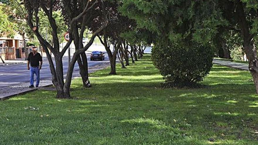 Una de las zonas verdes de la ciudad de Zamora.