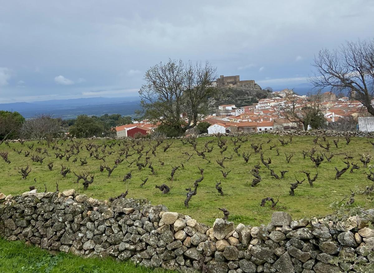 Panorámica de Montánchez con su castillo al fondo.