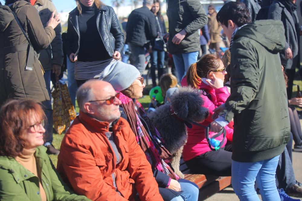 Conciertos en la Pérgola de La Marina