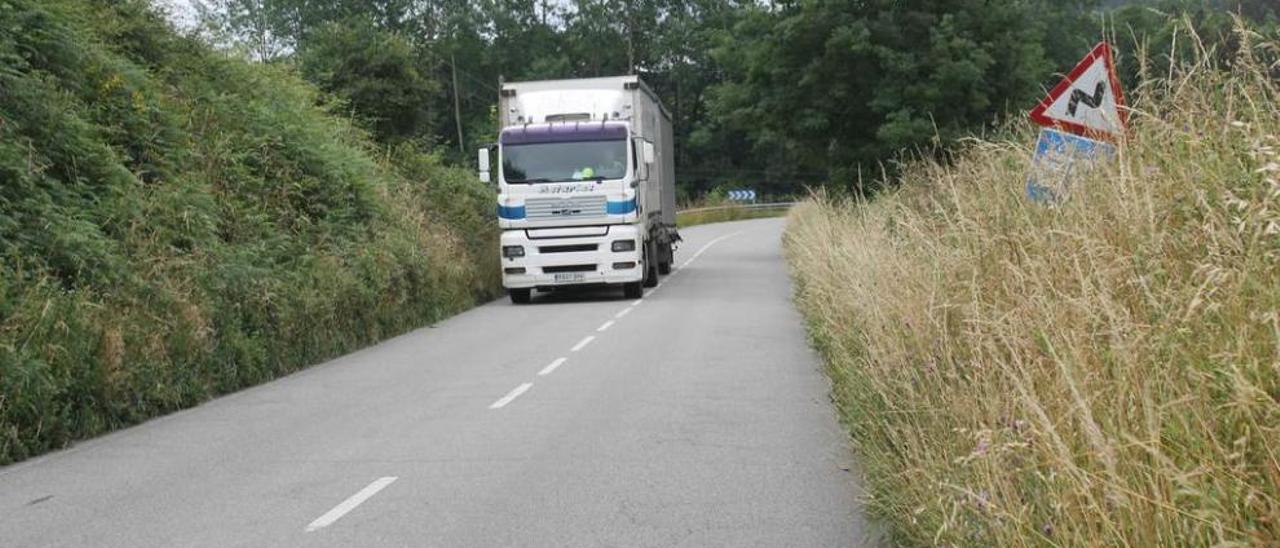 Un camión circula por la carretera regional AS-225, con las señales semitapadas por la maleza.