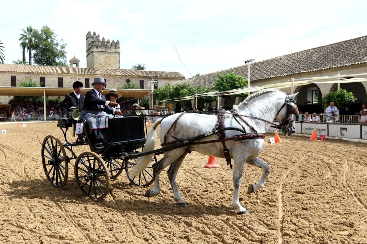 4º Concurso Internacional de Atalaje de Tradición en Cabalcor 2018