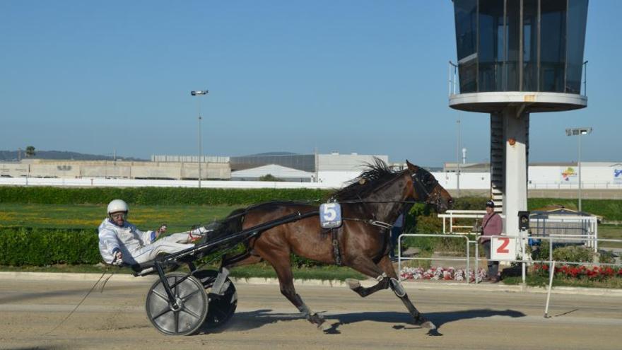 El caballo Kirin BS da positivo por cobalto