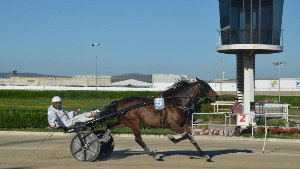 Kirin BS, en Son Pardo.