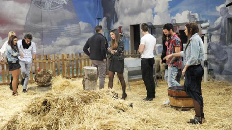 Los nuevos concursantes de 'Gran Hermano 14'.