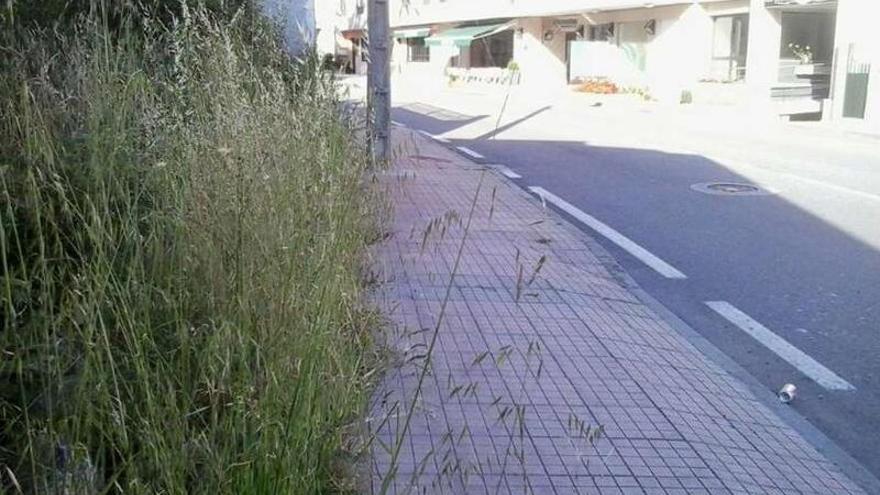 El Concello afronta la limpieza de calles en Reboredo