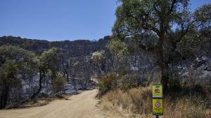 Incendi La Bisbal, urbanizació Mas Ambros de Calonge