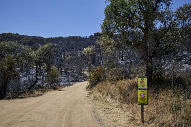 Les imatges de l'incendi a Mas Ambròs i Vall Repòs