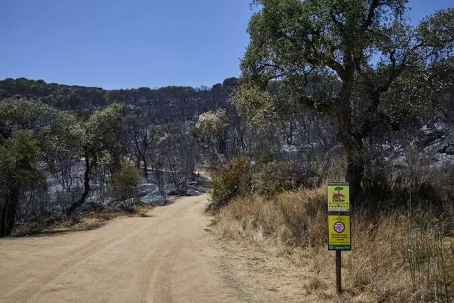 Les imatges de l'incendi a Mas Ambròs i Vall Repòs