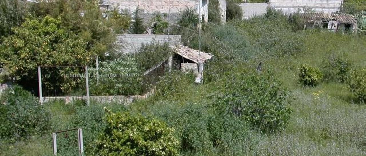 El solar se encuentra en estado de abandono y las viejas casetas se han ido derrumbando.