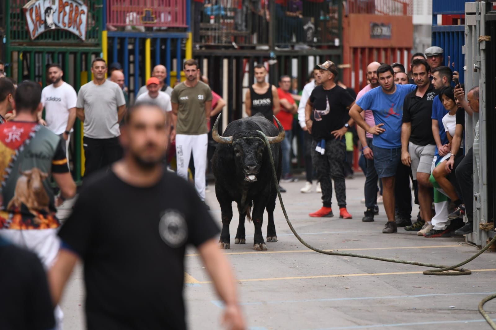 Exhibición de cuatro toros de Partida Resina en Onda