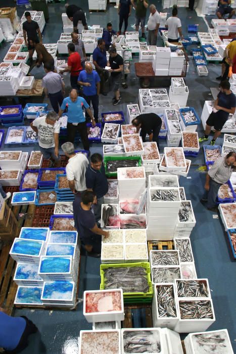 Así es un día de trabajo en la pescadería de Mercamálaga