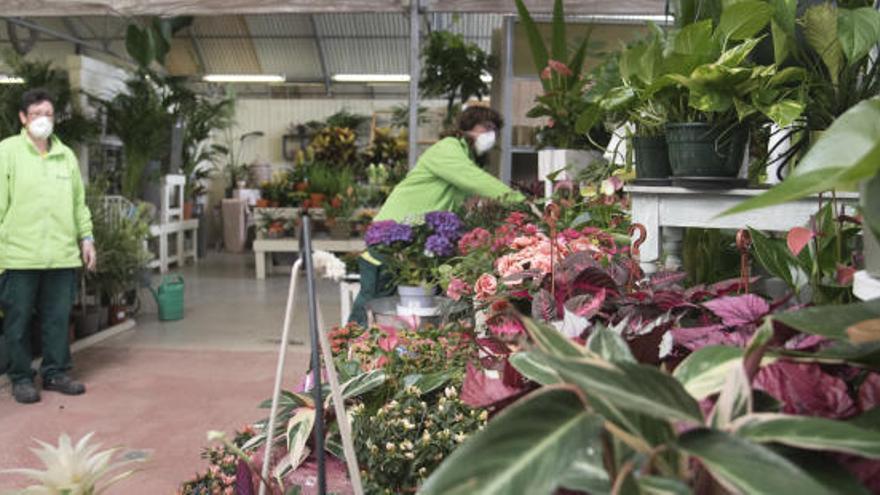 Dues treballadores, de deu que són, es cuiden de les plantes