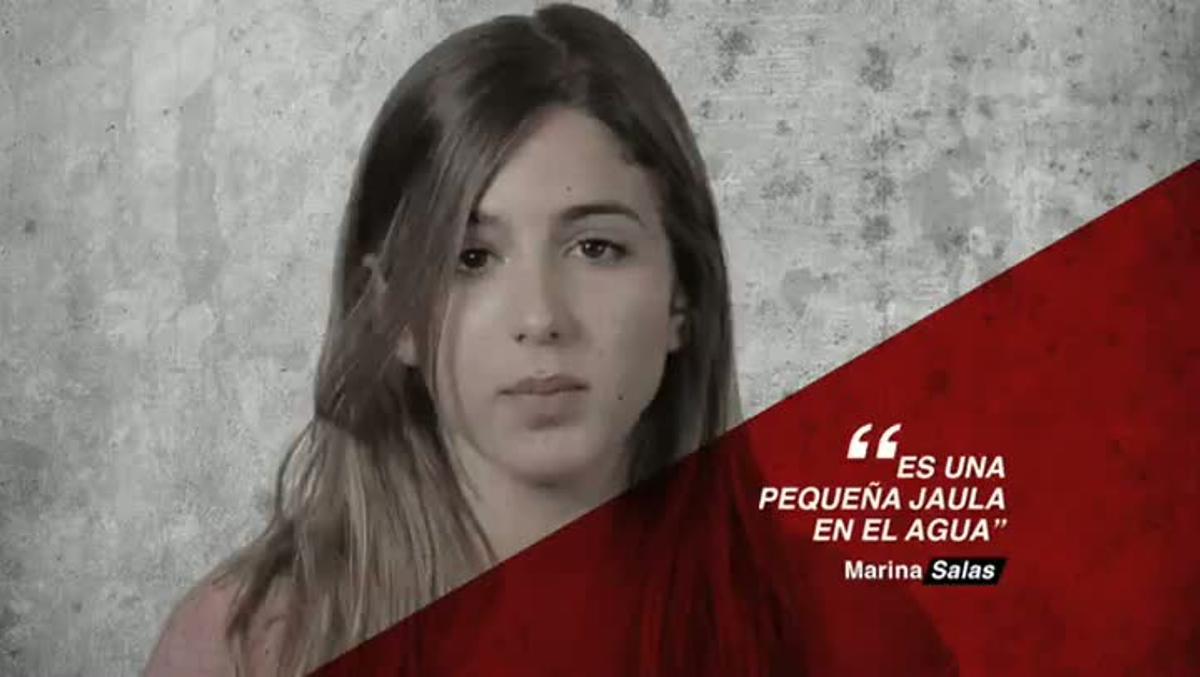 Campanya ’SOS Dofins’ amb famosos espanyols.