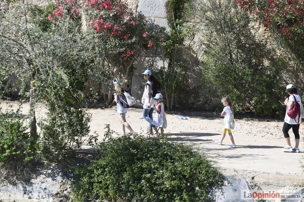 Todas las imágenes del reto de limpieza del río Segura en Murcia