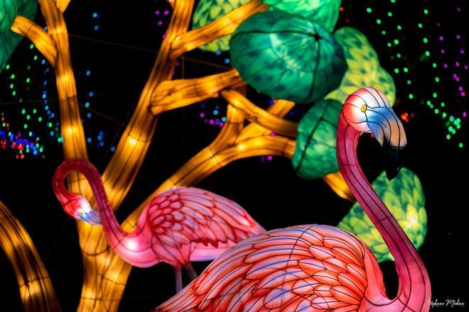 Toulouse, Festival des Lanternes en el gran Parque del Ritouret