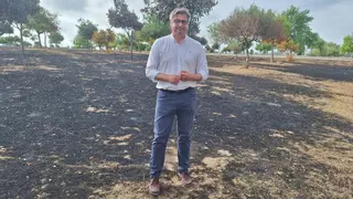Puente Genil creará zonas verdes en las áreas dañadas por los incendios