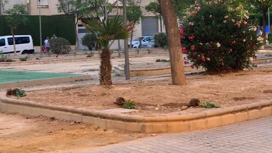 Unos vándalos arrancan las plantas del parque Antonio Gades de Elda