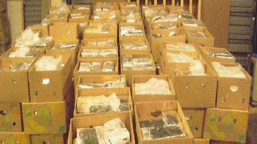 Intervienen en Amberes ocho toneladas de cocaína ocultas entre plátanos de Ecuador