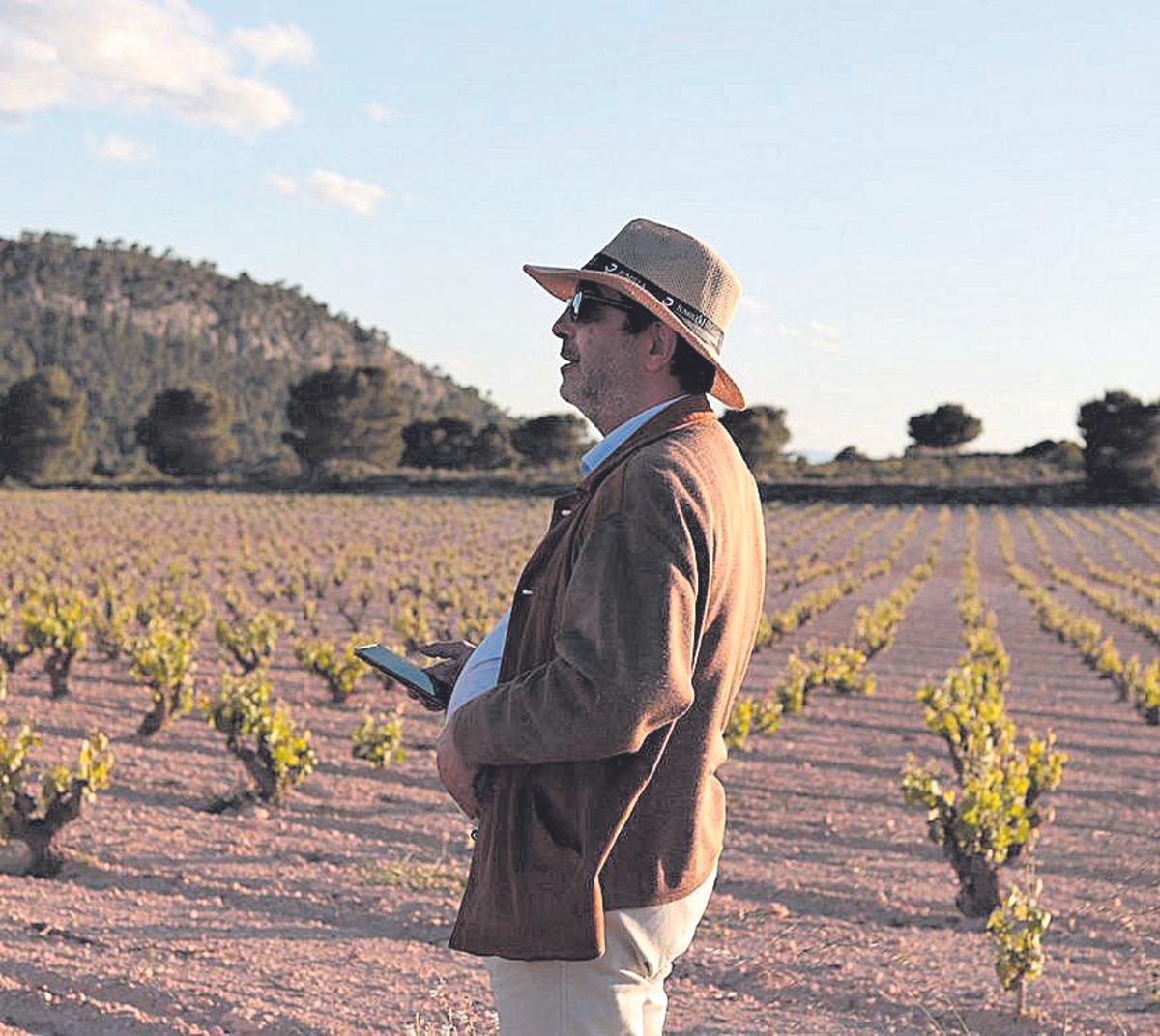 El catador Francisco Abellán pasea por los viñedos