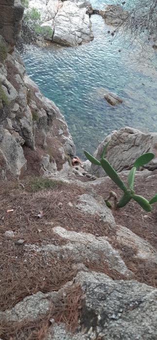 Un home es precipita des del camí de ronda a la cala dels Trons de Lloret