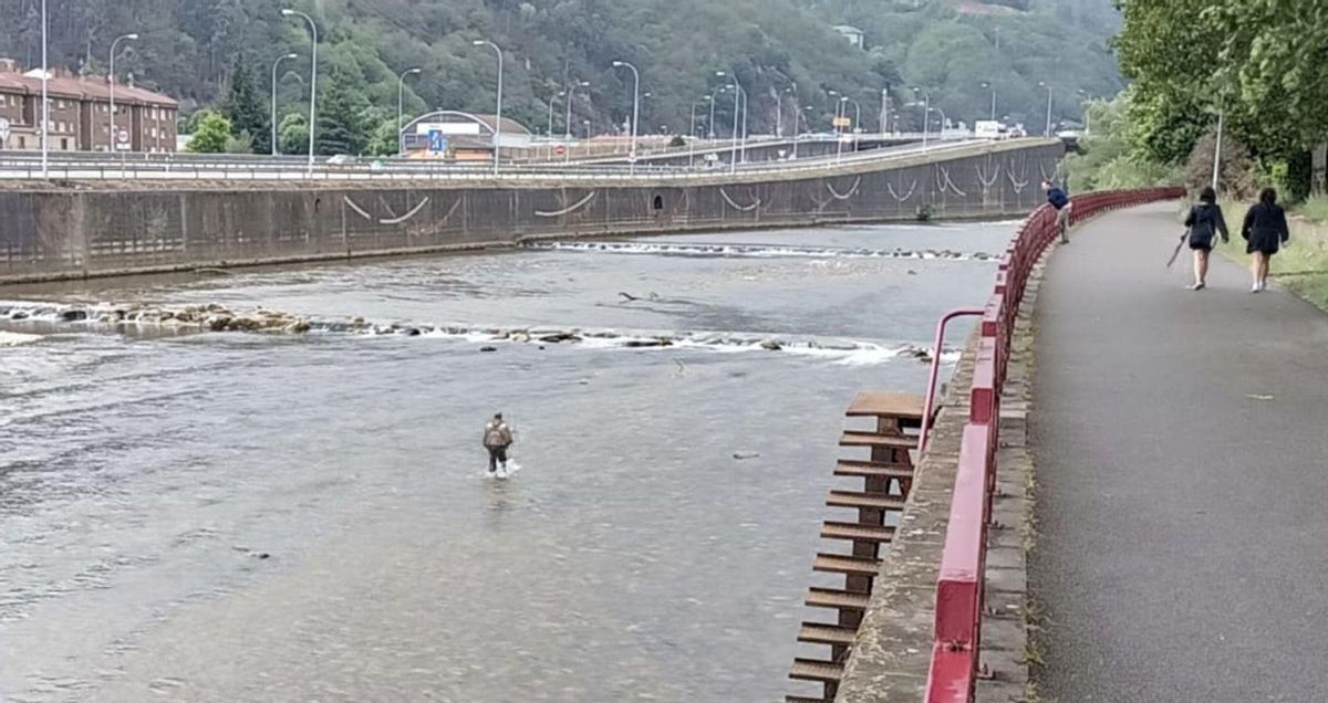 El tramo urbano del coto sin muerte del río Caudal, ayer, con la senda peatonal a la derecha y un pescador en el río. | D. M.