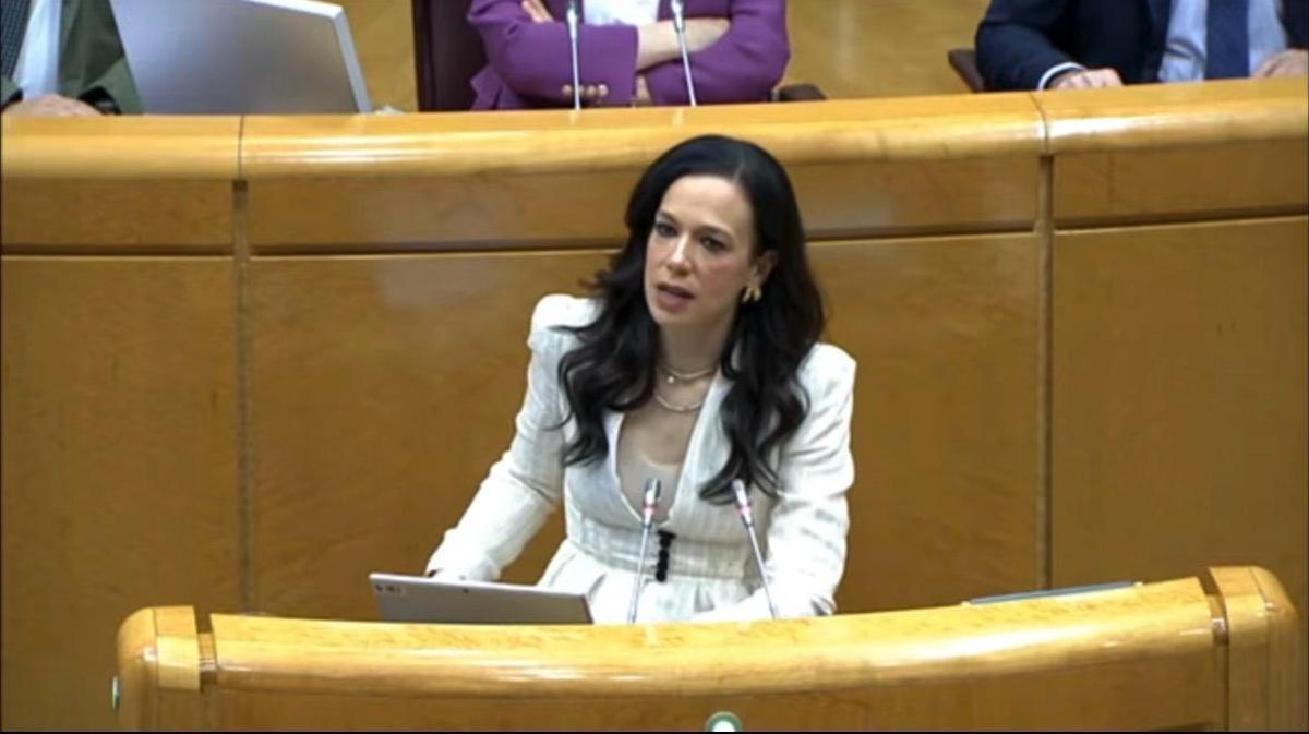 La consejera de Salud, Sara García Espada, esta mañana en el Senado.