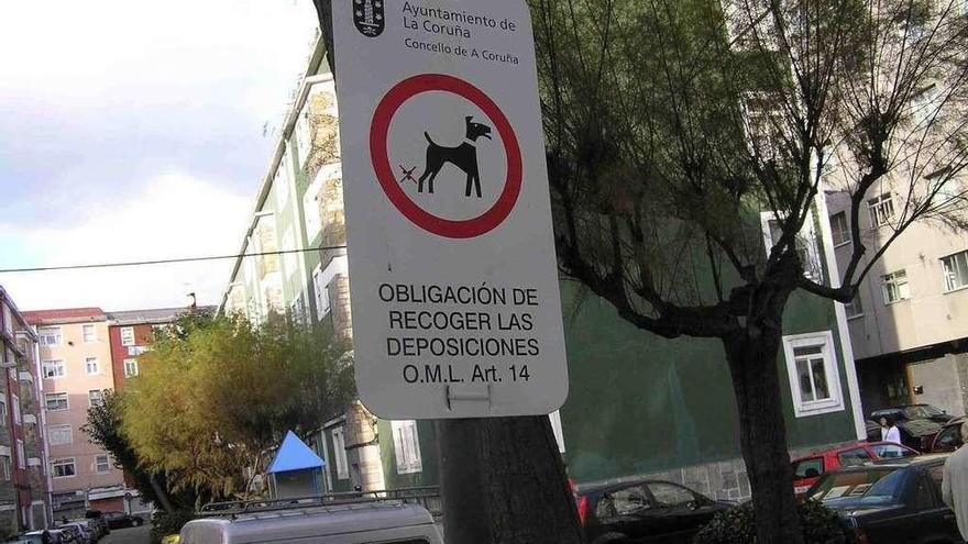 Un cartel advierte de la obligación de recoger los excrementos de los perros.