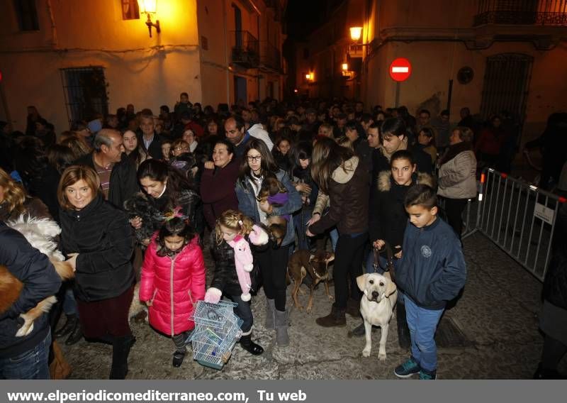 GALERÍA DE FOTOS -- Bendición de animales en Almassora