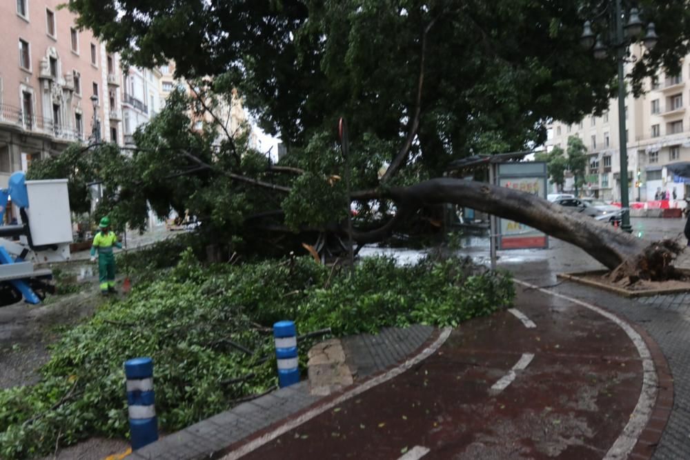 Las incidencias de la borrasca Ana en Málaga