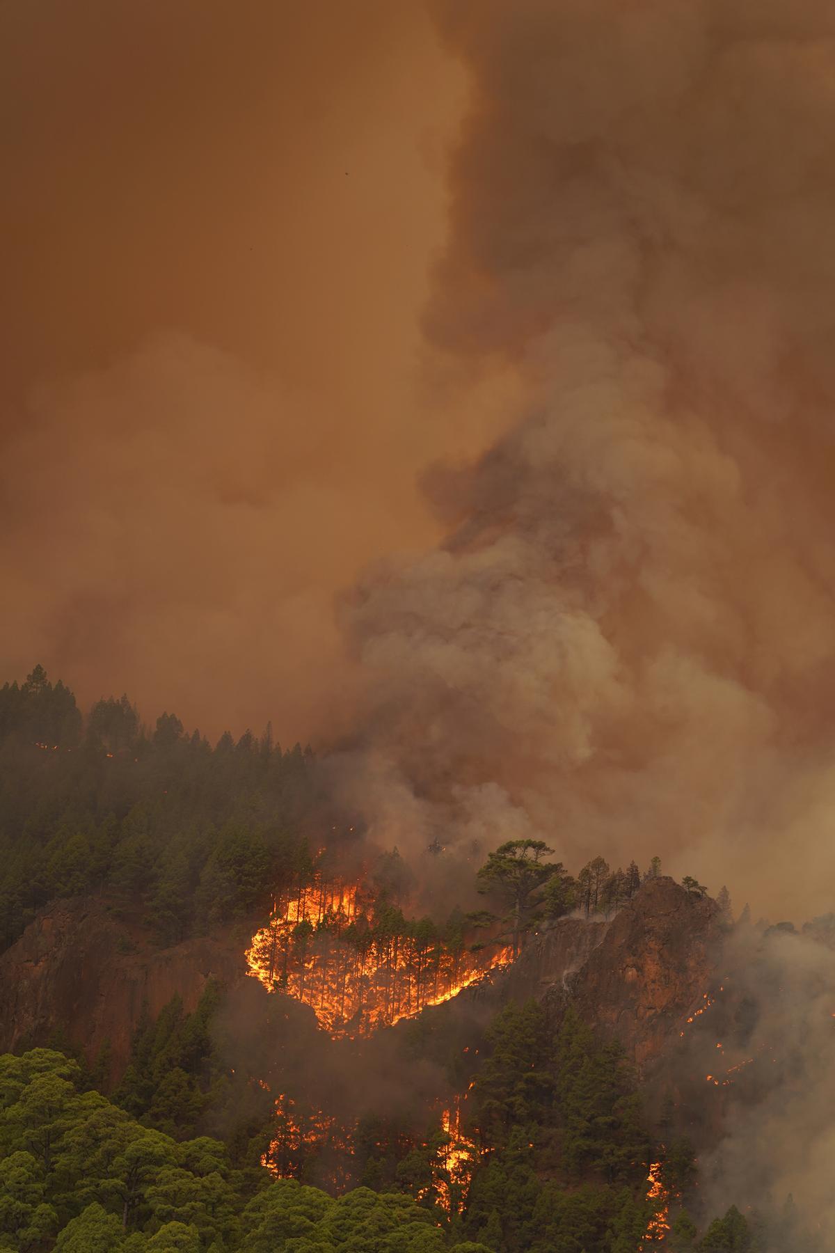 El incendio forestal de Tenerife, sin control