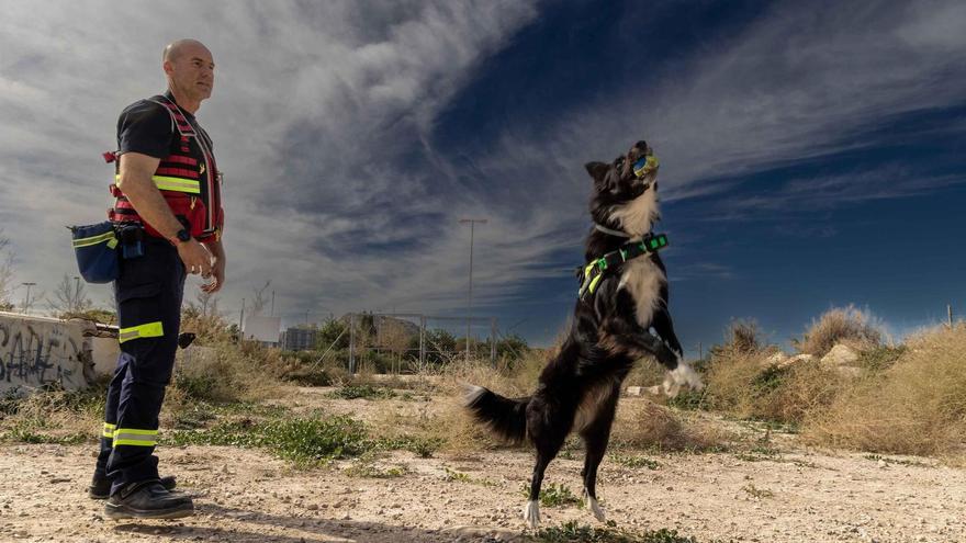 Senda, perra de la Sección Canina de los Bomberos de Alicante que encontró a una mujer perdida de 86 años.
