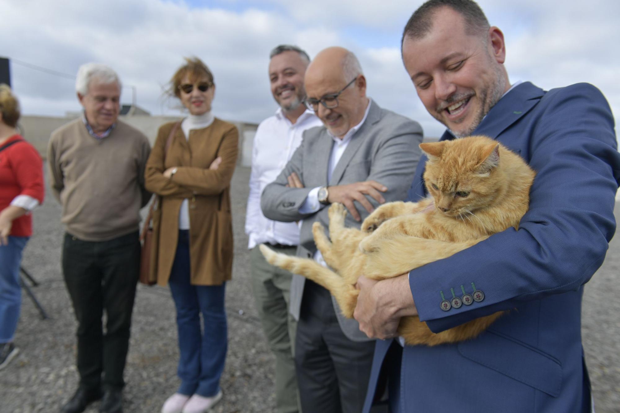 Gáldar tendrá en El Sobradillo un albergue para perros, gatos, ovejas y hasta caballos