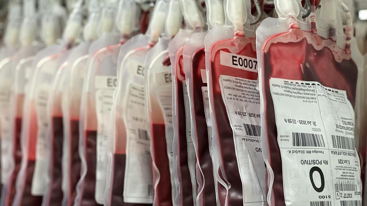 Sanitat activa como cada verano la campaña estival de donación de sangre.