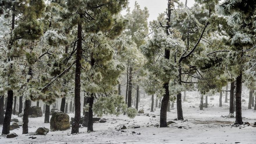 Nieva en la cumbre de Gran Canaria