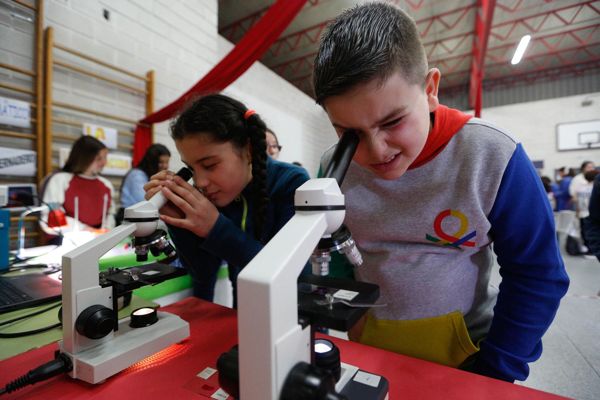 Expociencia en el IES Blas Inante