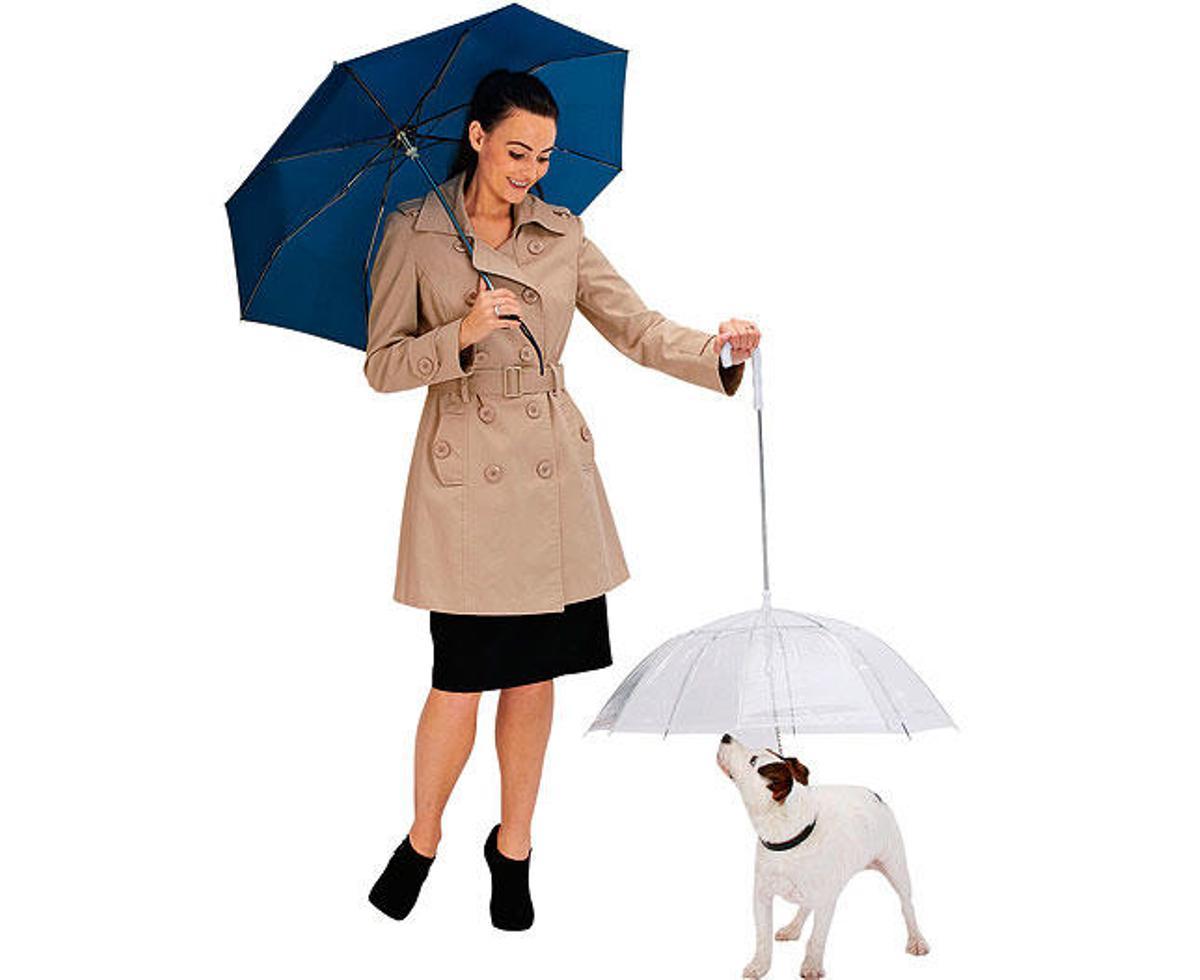 Productes curiosos per a mascotes