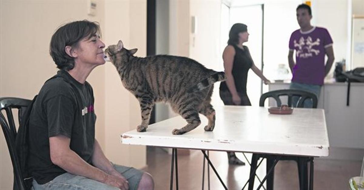 Problema de vivienda 8 Tres personas desahuciadas, en un piso de un bloque ocupado por la PAH en Hostafrancs, ayer.