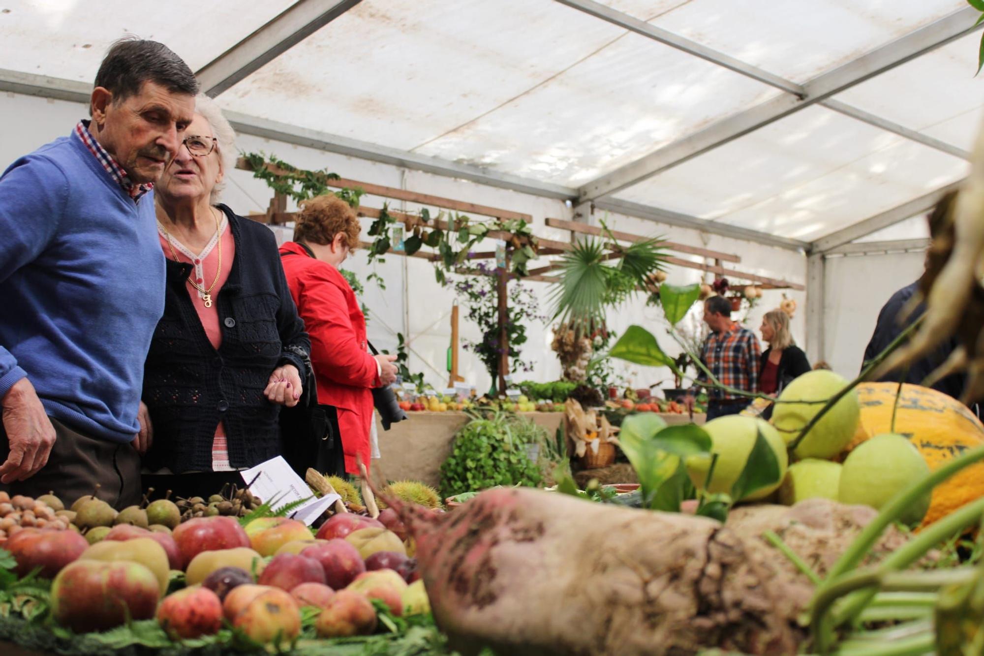 Sama celebra el III Certamen de la Huerta "Llangréu Natural"