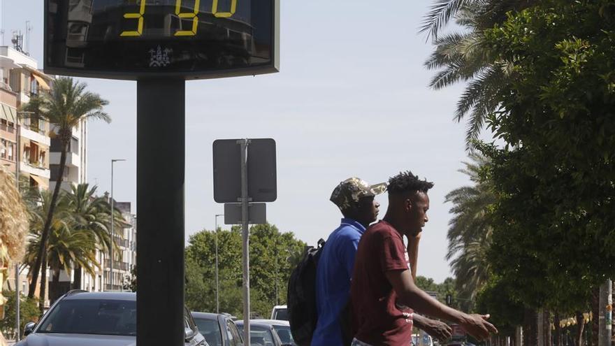 El tiempo en Córdoba: la máxima alcanzará los 38 grados