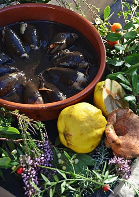 Calamar de potera.